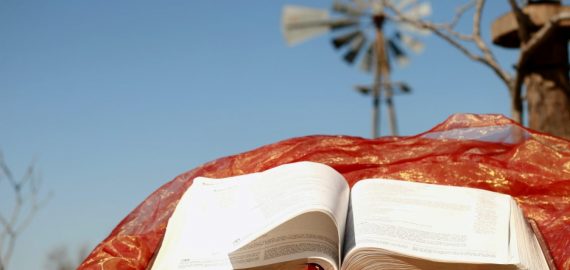 Формування професійних компетентностей, розвиток творчого потенціалу студентів засобами дисциплін мистецького спрямування, трудового навчання