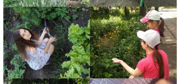 Літня педагогічна практика студентів 3 курсу групи А спеціальності 012