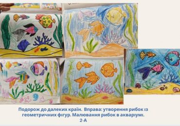 Успішна переддипломна практика – важлива сходинка до професії